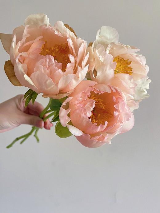 【预售！4.20起陆续发出】国王节芍药【人间四月天，芍药铺前庭】简小姐精选鲑鱼色渐变芍药 国王日 2件包邮 顺丰空运直发 商品图2