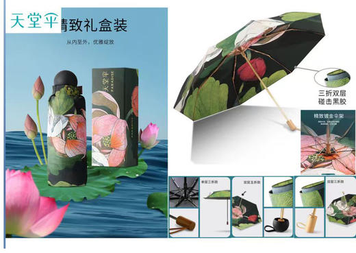 天堂伞五折晴雨伞57506E荷花 商品图0
