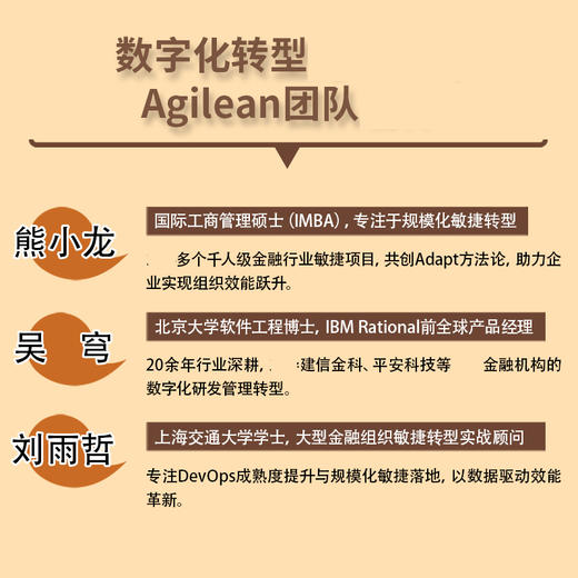 稳敏兼顾：数字化研发管理实战 企业数字化转型管理敏捷转型路径效能提升实践实战经验团队定位战略策略书籍 商品图3
