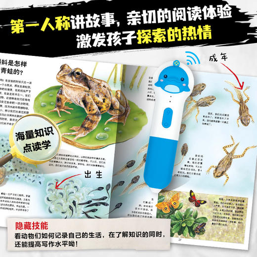 动物王国大探秘（第一辑） 全套4册点读版 海洋生物讲故事 听恐龙讲故事 听昆虫讲故事 听动物讲故事 8-9-12岁儿童小学生一二三年级必读课外书 商品图3