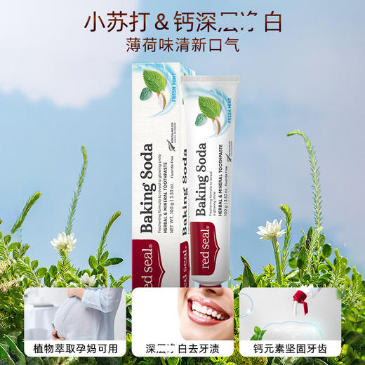 新西兰red sea 红印牙膏 小苏打 100g 有贴中标 商品图0