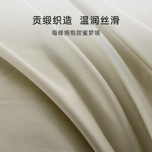 雅芳婷全棉贡缎绣花四件套精梳长绒棉被套轻奢高级感亲肤纯棉套件 商品图2
