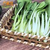 东升农场 有机小白菜 新鲜蔬菜 广州发货 250g 商品缩略图1