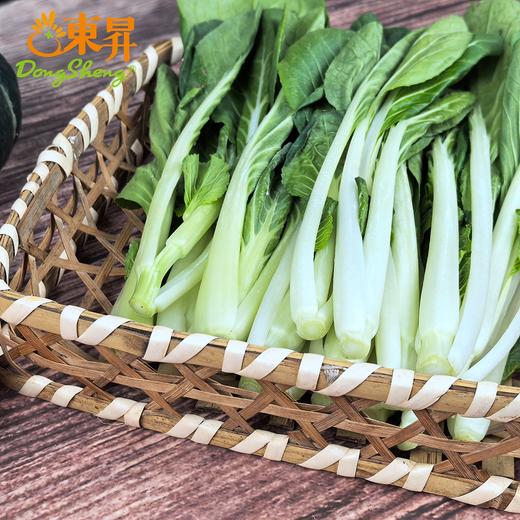 东升农场 有机小白菜 新鲜蔬菜 广州发货 250g 商品图1