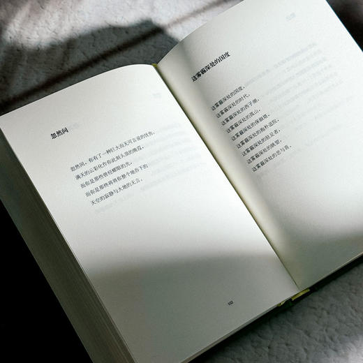 杭州书 泉子诗歌集 精装 诗与思 商品图10