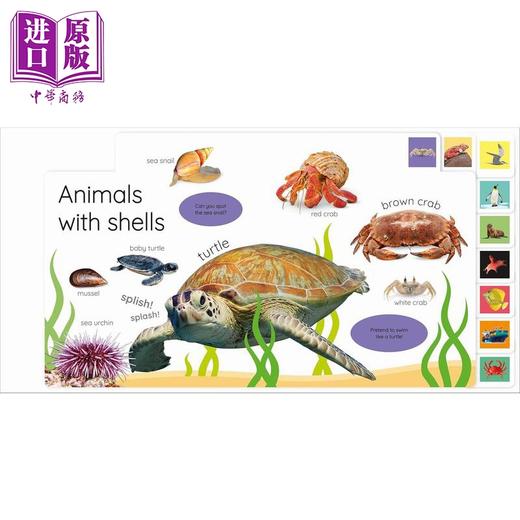 【中商原版】DK启蒙海洋生物（新）My First Ocean Let's Dive In and Explore 英文原版 幼儿认知识物纸板书 带标签 进口童书 商品图2