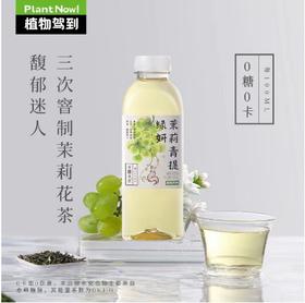 【BF】植物驾到茉莉青提饮料 500ml