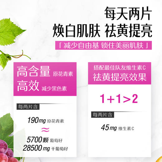 【海豚美购】Swisse/斯维诗葡萄籽精华片180片/瓶 商品图2