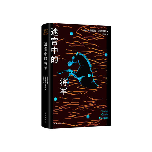 迷宫中的将军 商品图4