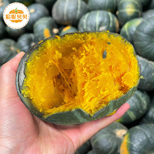 云南贝贝小南瓜 粉糯香甜 入口绵密 没有纤维感 商品图3