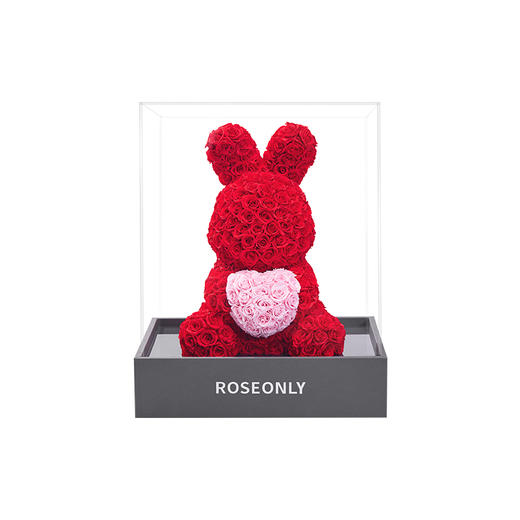 【爱礼告白】ROSEONLY诺誓 高级定制永生玫瑰系列玫瑰心意熊玫瑰心意兔送女友礼物 商品图3