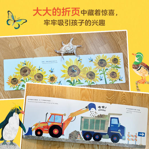 【童趣】DK低幼认知双语启蒙书 套装 共4册 商品图5