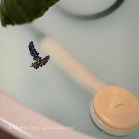 [屁侠推荐]moido陌冬三代唤香美肤花洒 三种香味 过滤增压淋浴喷头除氯手持洗澡精油莲蓬头