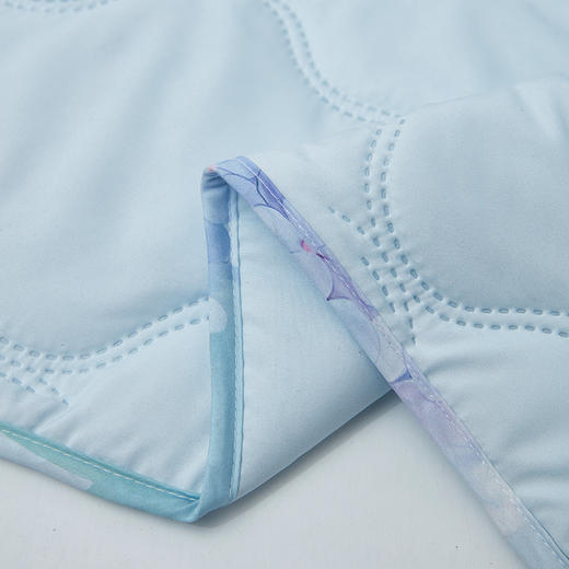 【分仓直发包邮】梦洁舒柔清爽夏凉被-沁芳1010289168 商品图2