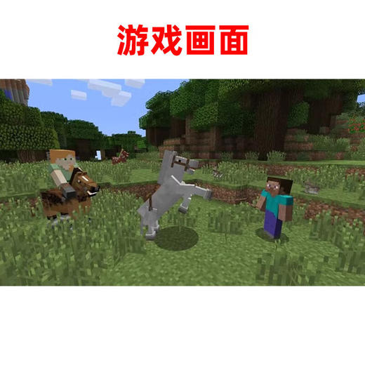 【共享租借】任天堂Switch游戏卡 我的世界基岩版 商品图2