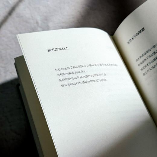 杭州书 泉子诗歌集 精装 诗与思 商品图13