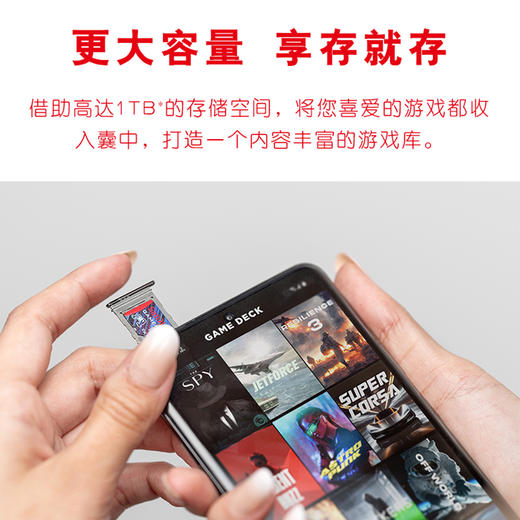 SDSQXAV-256G-ZN6XN 商品图1