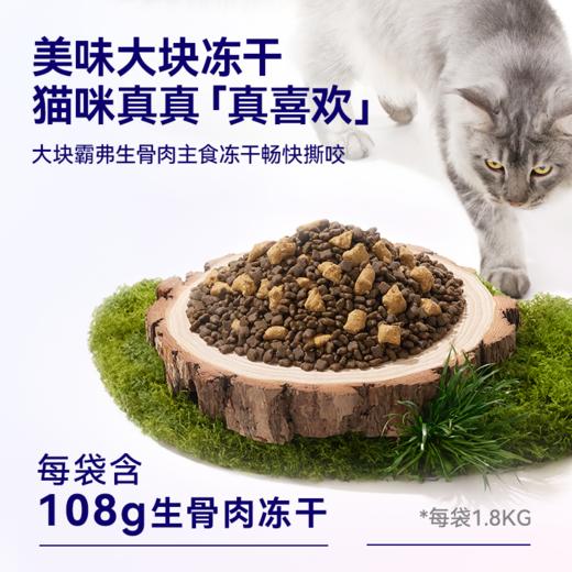麦富迪霸弗试吃尝鲜天然猫粮试吃组合 商品图3