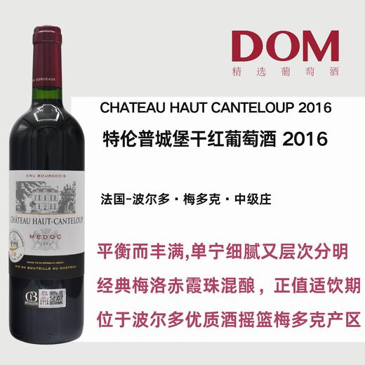 特伦普城堡干红葡萄酒 2016 CHATEAU HAUT CANTELOUP 2016 商品图0
