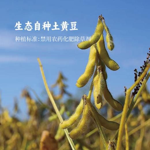 香畴古法特级酱油 | 120ml/500g 365天纯粮古法酿造 自然淳鲜 谦益农业 商品图8