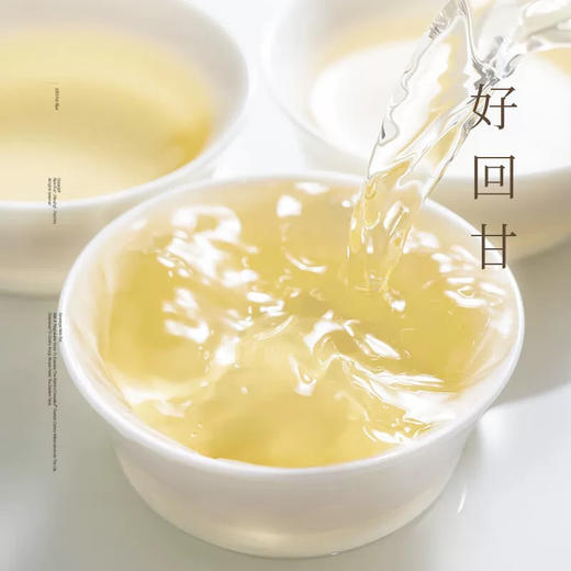 果子熟了无糖茶茉莉龙井500ml 商品图1