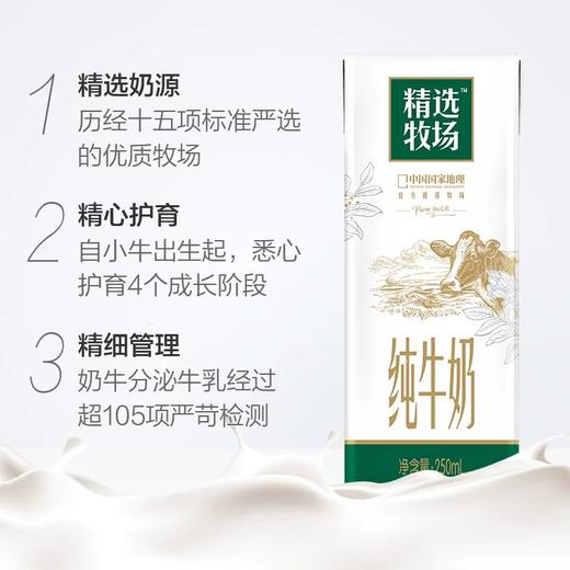 蒙牛精选牧场高钙牛奶  250ml*10/提【2提十堰主城区包邮】  商品图1