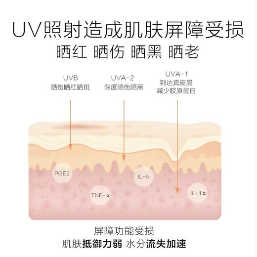 薇诺娜清透防晒霜50g（240244）敏感肌专属 商品图2