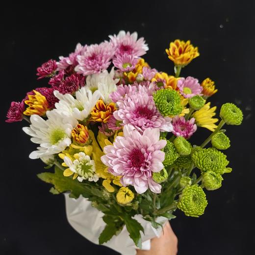 精选花材广州本地混色小雏菊10支 商品图1