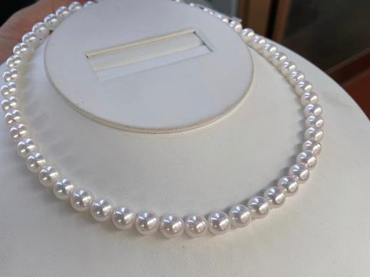 7mm-8mm akoya项链 商品图2