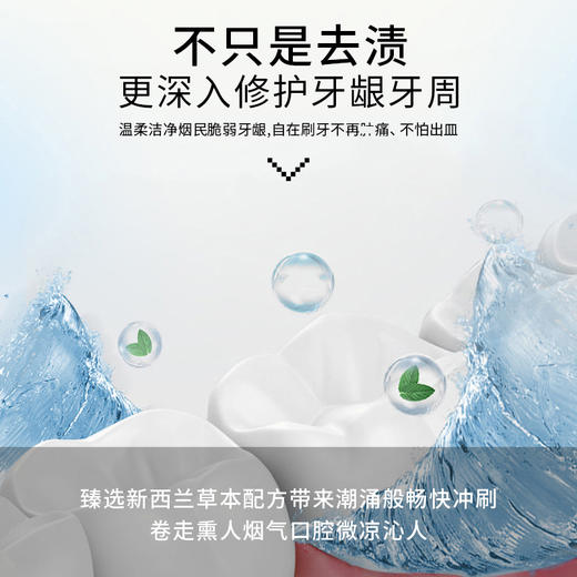 新西兰red sea 红印牙膏 去烟渍 100g 有贴中标 商品图2