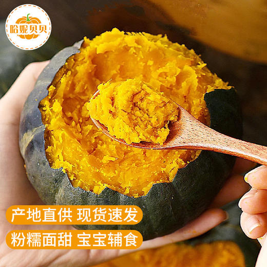 云南贝贝小南瓜 粉糯香甜 入口绵密 没有纤维感 商品图0