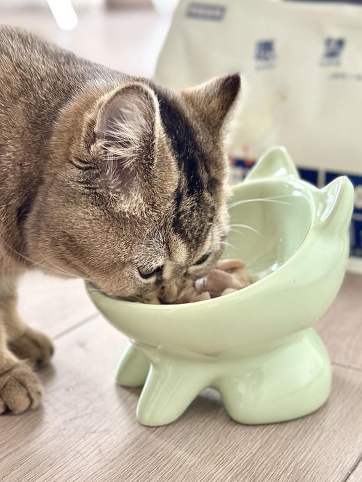 愿望呈臻 纯肉双拼冻干(鸡肉+鸭肉) 商品图4