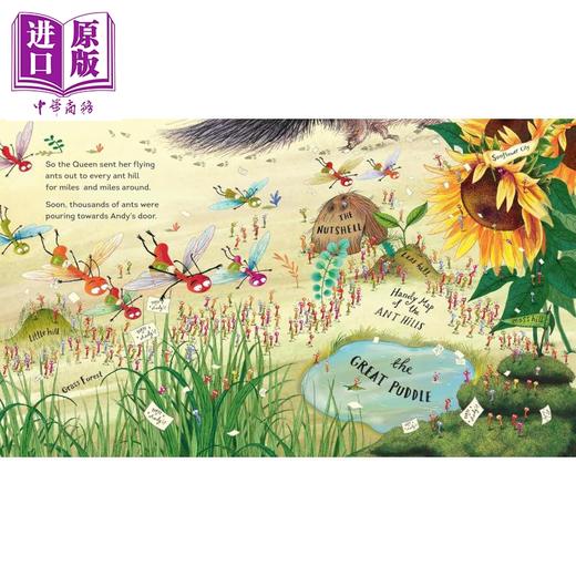 【中商原版】蚂蚁派对 Ross Montgomery Ant Party 英文原版 儿童绘本 动物故事图画书 亲子读物 进口童书 精装 获奖作家作品 商品图2