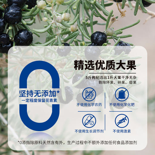 西御农有机黑枸杞80g 无农残无染色无硫花青素青海诺木洪有机黑枸杞 商品图1