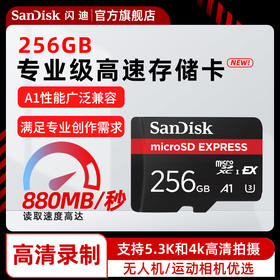 SDSQXFN-256G-ZN4NN