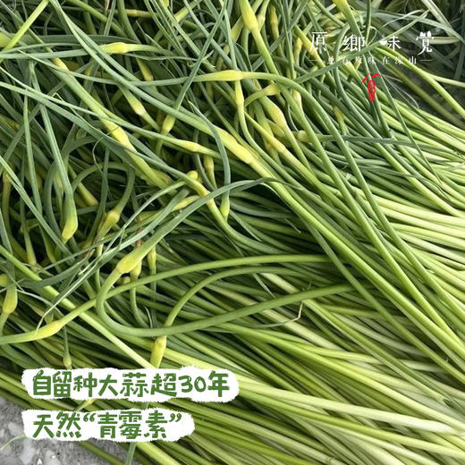 生态酵素蒜苔（基地直发-京东包邮）｜ 2/3斤装，来自四川绵竹，生产者：熊然【合作生产，公平贸易】 商品图1
