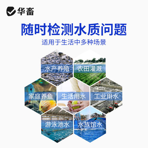 三合一水质测试盒PH氨氮亚硝酸检测试剂水产养殖虾蟹水质分析 商品图1