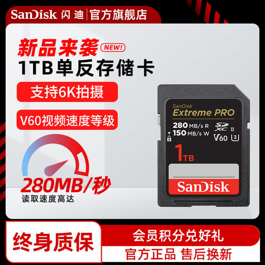 SDSDXEP-1T00-ZN4IN 商品图0