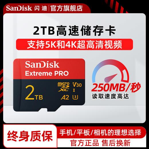 SDSQXCD-2T00-ZN6MA 商品图0