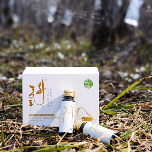 【嘉桦有17项专利证书真活性桦树汁】 一起解密白桦树汁的生命力来源 商品图1