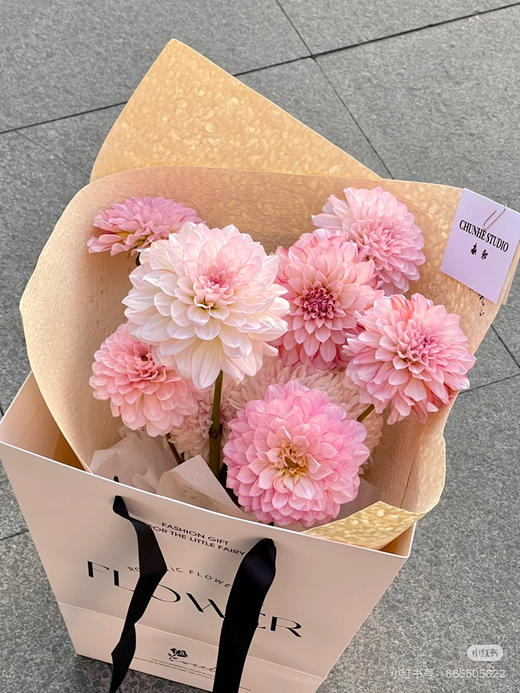 国产花材-【大丽花】安吉丽娜 商品图1