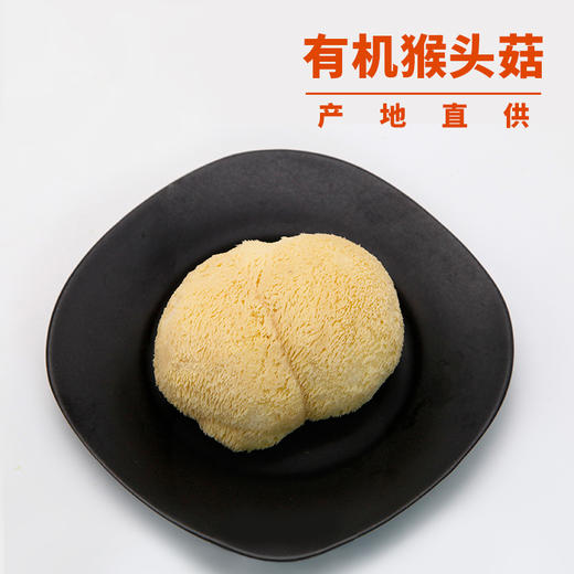 【有机猴头菇】小兴安岭山珍，特有清香鲜味，脆嫩爽口，营养丰富，朵朵均匀，干净无杂质！ 商品图2