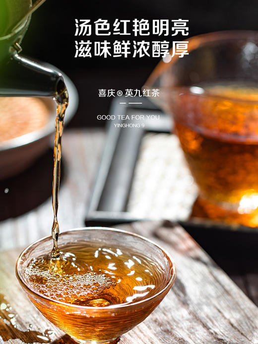 英德红茶 积庆里·喜庆 英红九号   高香带甜味   送礼佳品 商品图3