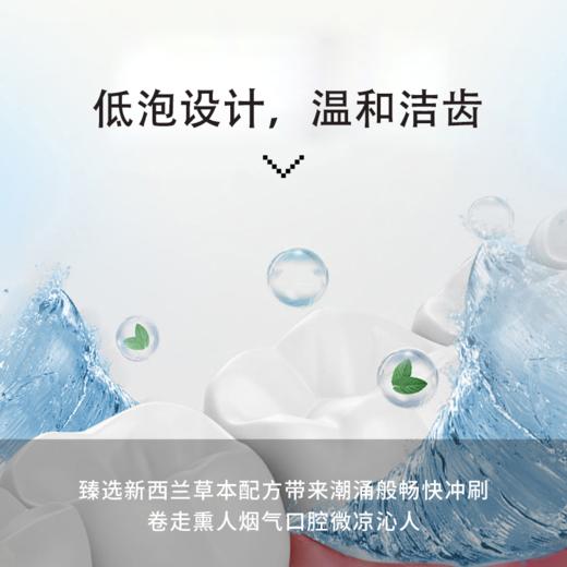新西兰red sea 红印牙膏 去烟渍 100g 有贴中标 商品图3