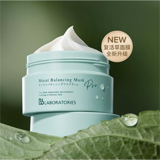 Bb LAB苾莱宝涂抹式复活草面膜175g 商品图0