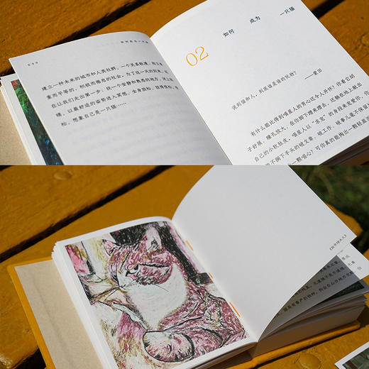 如何成为一只猫 猫声猫色 爱猫人士的掌上探索指南 商品图7