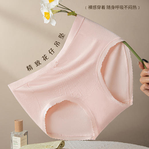 【3条装】女士7A提花柔棉三角内裤中高腰高弹无痕脚口【CSL25253】 商品图2
