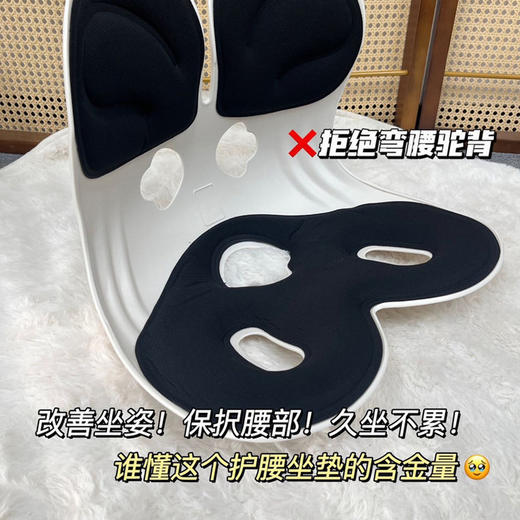 BKT同款同品质护腰坐垫 商品图6