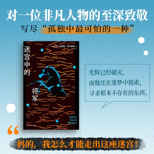 迷宫中的将军 商品图1