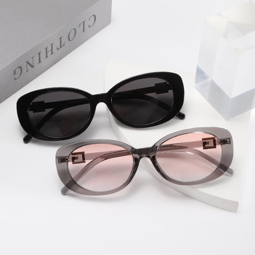 【骊佳高清偏光太阳镜椭圆墨镜】酷飒出街 时髦焦点 5082 商品图1